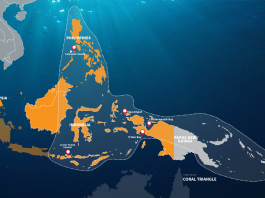Map of the Coral Triangle
