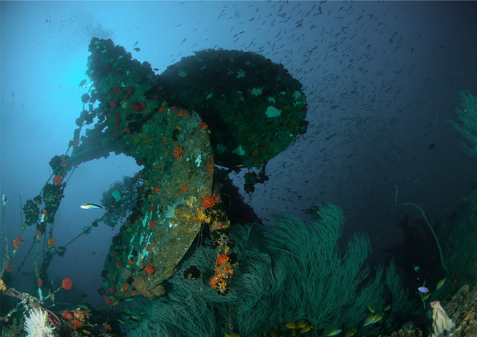 HMS Hermes Wreck Site