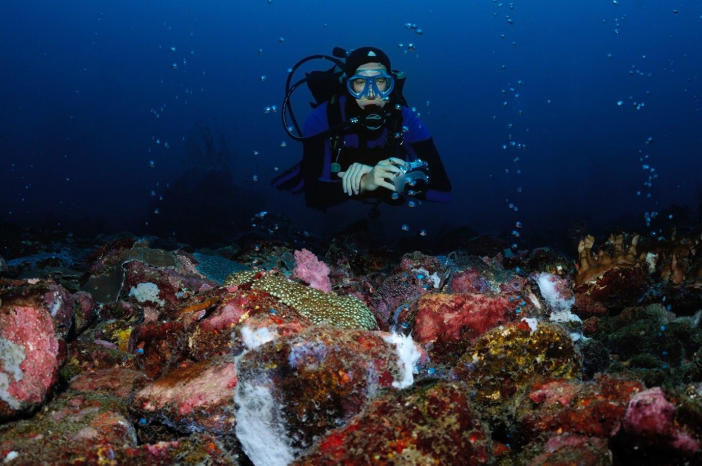 A diver hovering in amongst underwater bubbles, Puerto Galera, Philippines