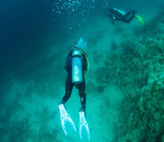 Diver in Anilao, Philippines