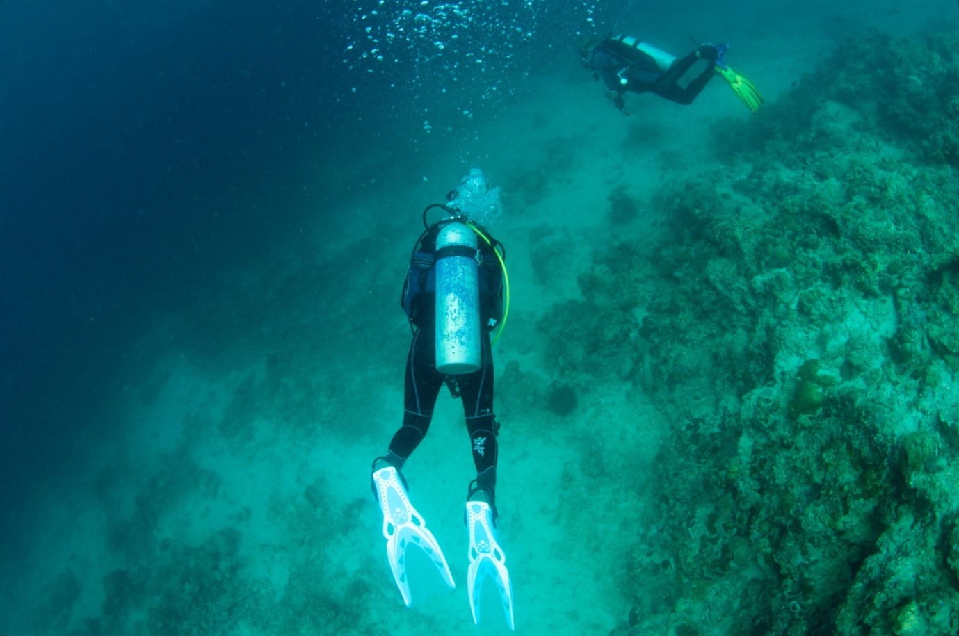 Diver in Anilao, Philippines