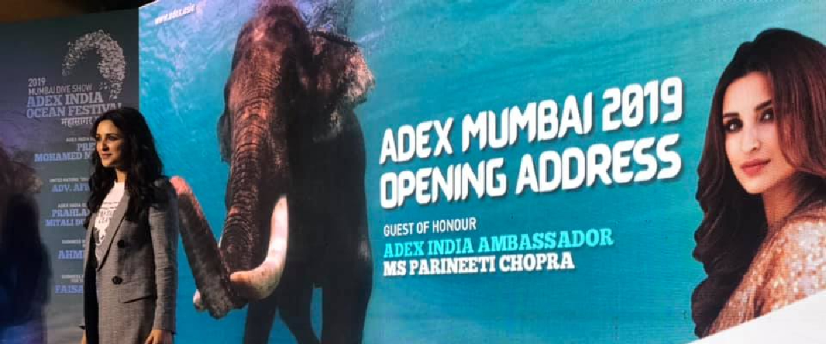 parineeti-chopra-adex-india-2019-banner