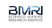 BMRI-removebg-preview