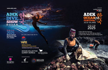Korea-adex